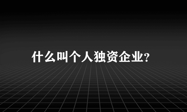 什么叫个人独资企业？