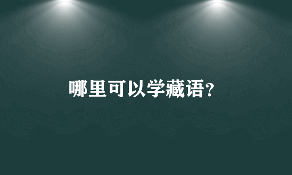 哪里可以学藏语？