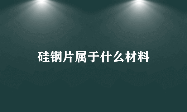 硅钢片属于什么材料