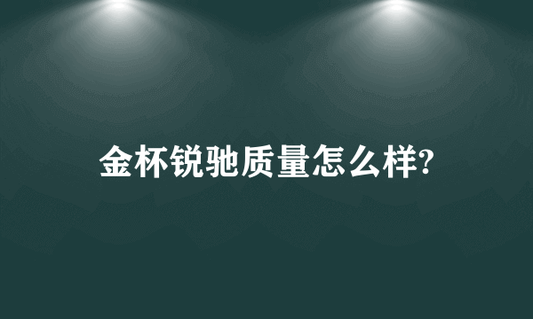 金杯锐驰质量怎么样?