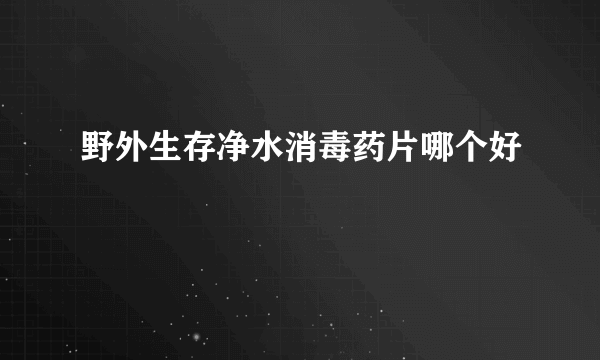 野外生存净水消毒药片哪个好