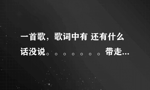 一首歌，歌词中有 还有什么话没说。。。。。。。带走的城堡 ，谁知道是什么歌？？？