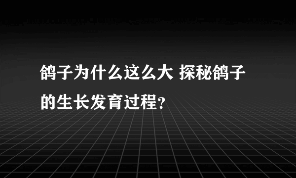 鸽子为什么这么大 探秘鸽子的生长发育过程？