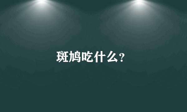 斑鸠吃什么？