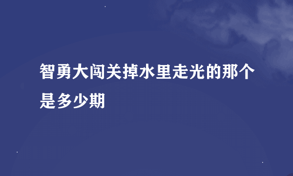 智勇大闯关掉水里走光的那个是多少期