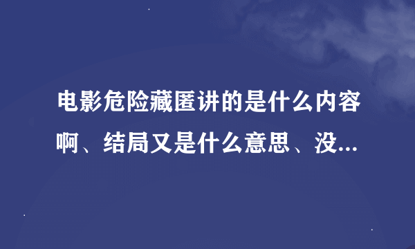 电影危险藏匿讲的是什么内容啊、结局又是什么意思、没看懂、求破、