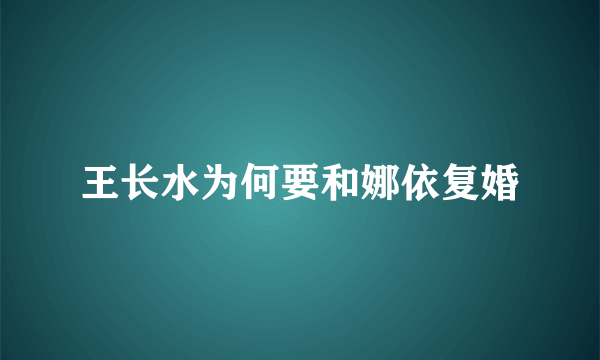 王长水为何要和娜依复婚