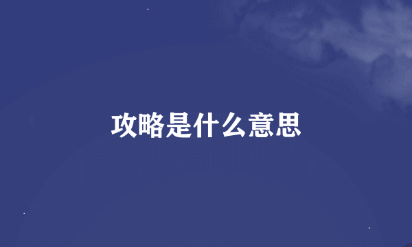 攻略是什么意思