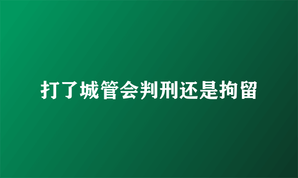 打了城管会判刑还是拘留