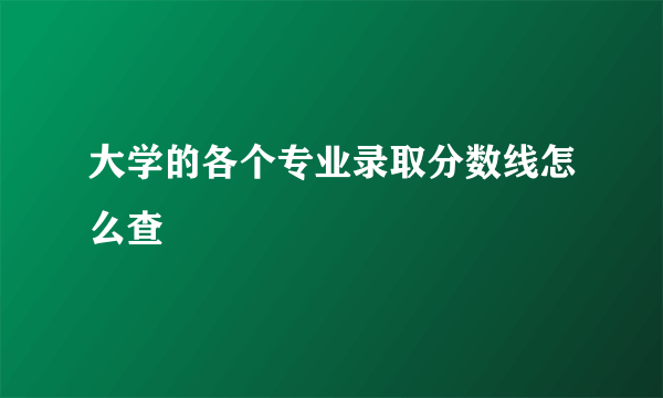 大学的各个专业录取分数线怎么查