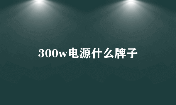 300w电源什么牌子