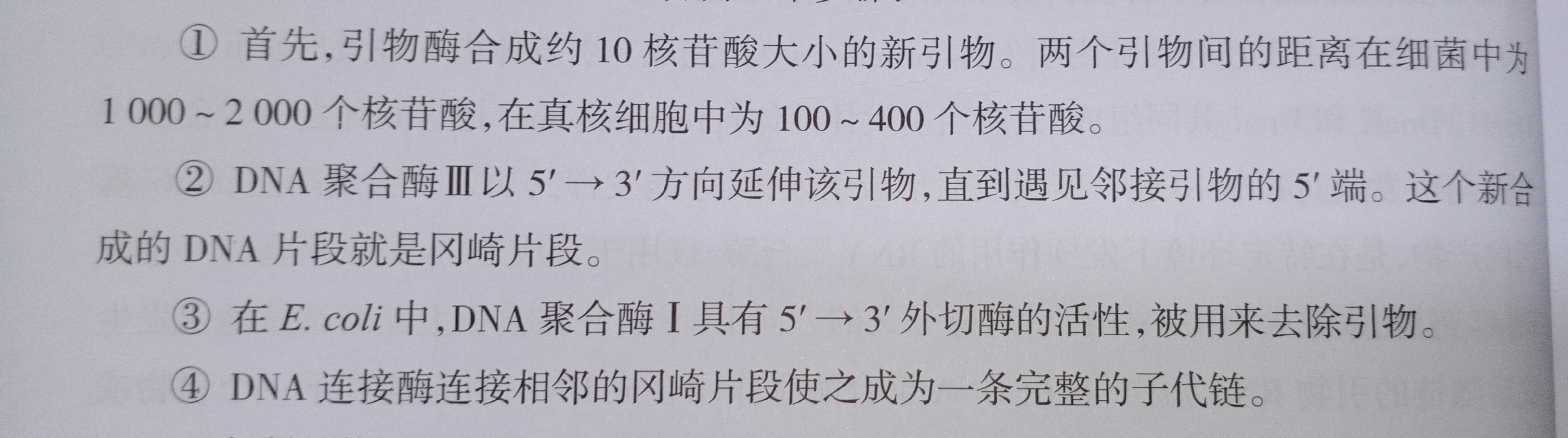 DNA复制的过程是怎样的？