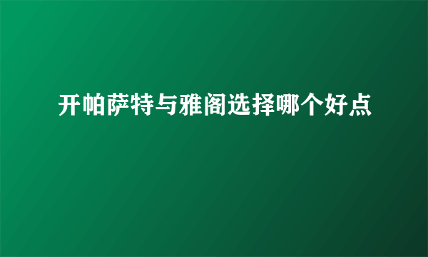 开帕萨特与雅阁选择哪个好点