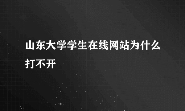 山东大学学生在线网站为什么打不开