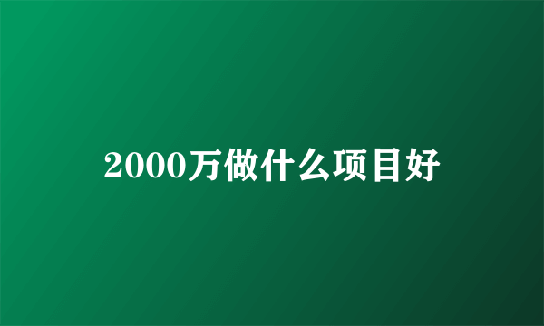 2000万做什么项目好