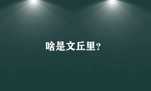 啥是文丘里？