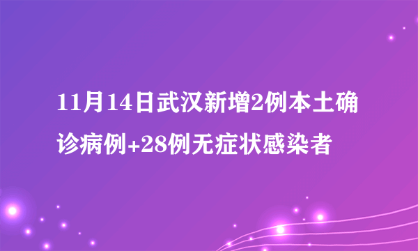 11月14日武汉新增2例本土确诊病例+28例无症状感染者