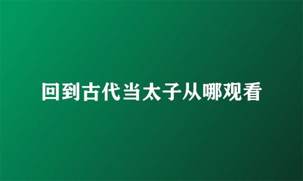 回到古代当太子从哪观看