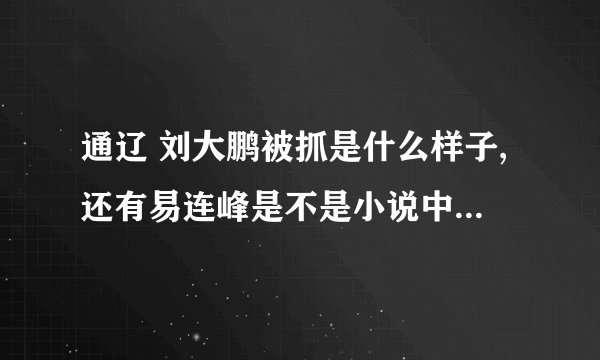 通辽 刘大鹏被抓是什么样子,还有易连峰是不是小说中的红兵大哥