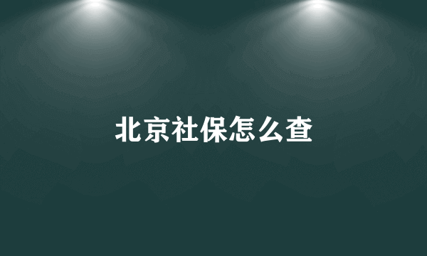 北京社保怎么查