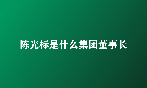 陈光标是什么集团董事长