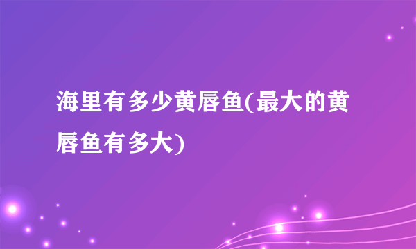 海里有多少黄唇鱼(最大的黄唇鱼有多大)