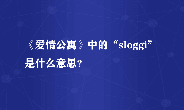 《爱情公寓》中的“sloggi”是什么意思？