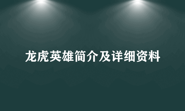 龙虎英雄简介及详细资料