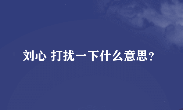 刘心 打扰一下什么意思？