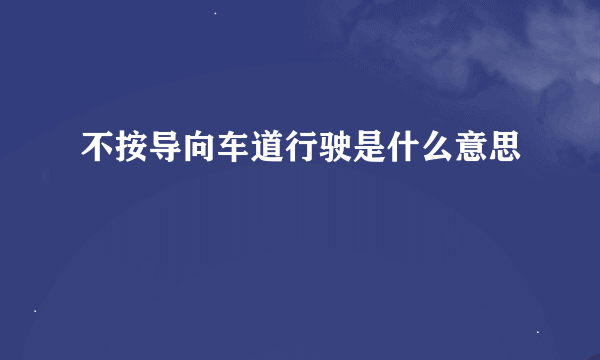 不按导向车道行驶是什么意思