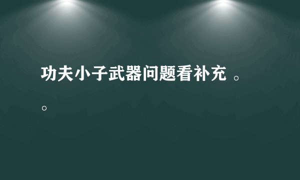 功夫小子武器问题看补充 。。