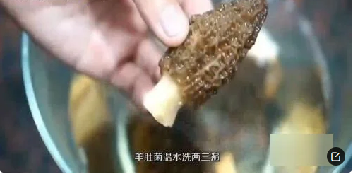 羊肚菌的做法