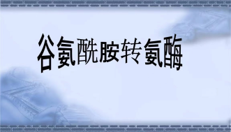 mtg是什么意思