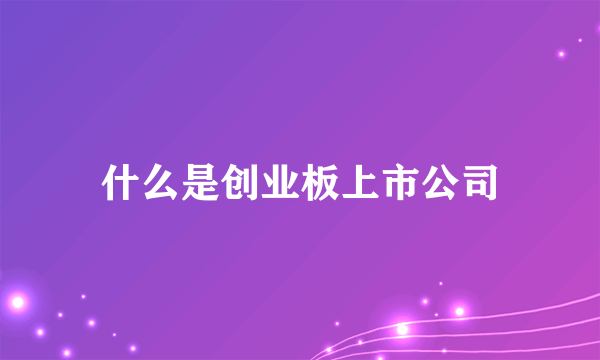 什么是创业板上市公司