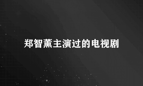 郑智薰主演过的电视剧