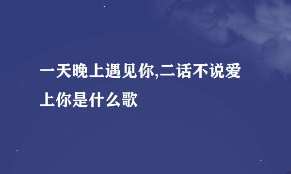 一天晚上遇见你,二话不说爱上你是什么歌