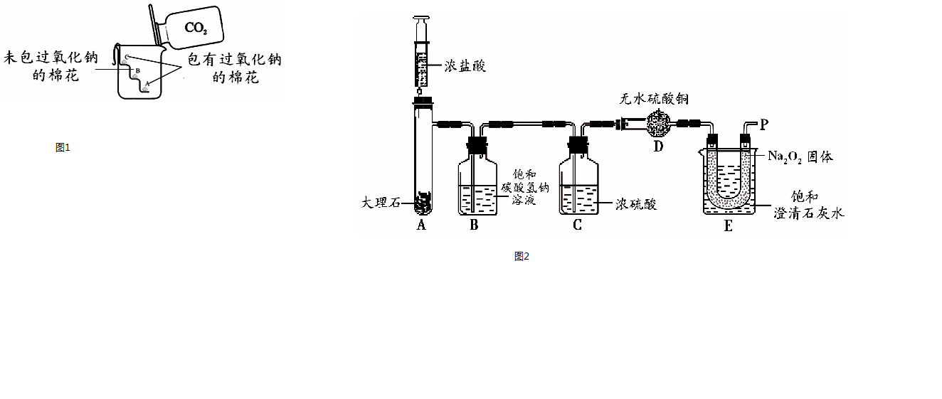 初中化学实验探究题目