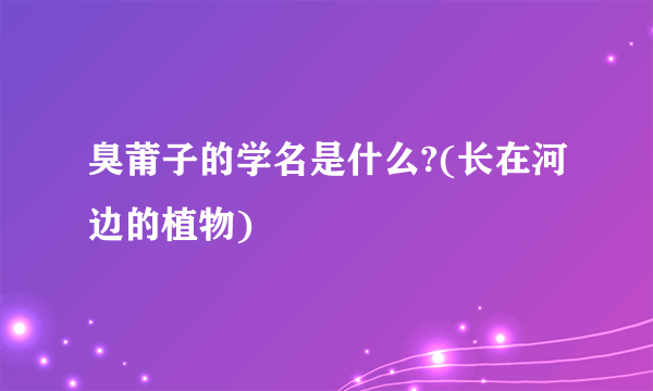 臭莆子的学名是什么?(长在河边的植物)