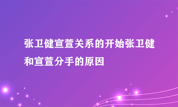 张卫健宣萱关系的开始张卫健和宣萱分手的原因