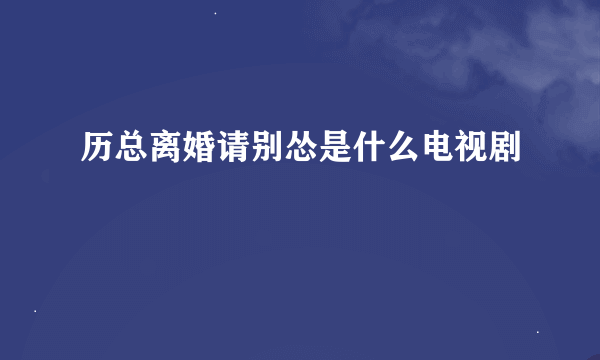 历总离婚请别怂是什么电视剧