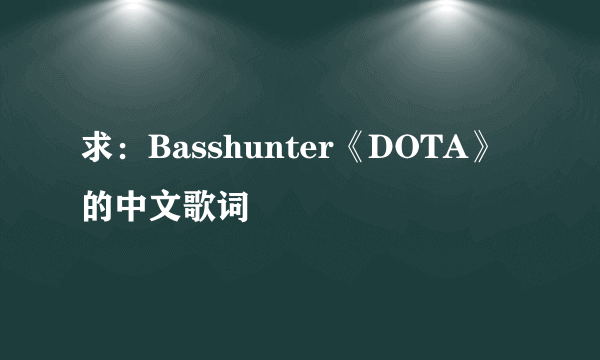 求：Basshunter《DOTA》的中文歌词