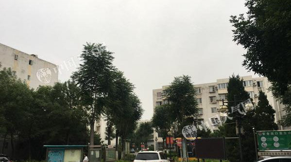 北京大到暴雨天气具体情况是怎样的？