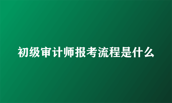 初级审计师报考流程是什么