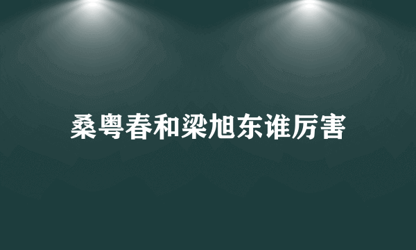 桑粤春和梁旭东谁厉害