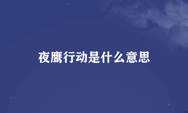 夜鹰行动是什么意思