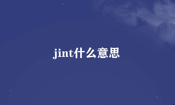 jint什么意思