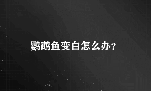 鹦鹉鱼变白怎么办？