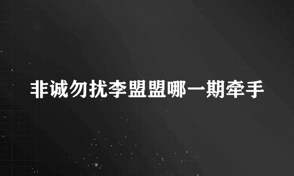 非诚勿扰李盟盟哪一期牵手