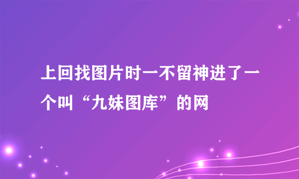 上回找图片时一不留神进了一个叫“九妹图库”的网