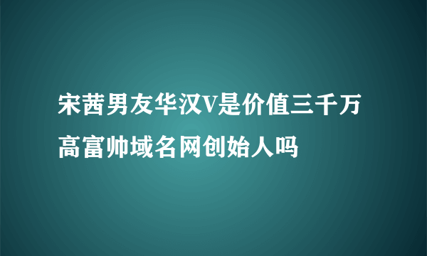 宋茜男友华汉V是价值三千万高富帅域名网创始人吗